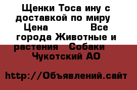 Щенки Тоса-ину с доставкой по миру › Цена ­ 68 000 - Все города Животные и растения » Собаки   . Чукотский АО